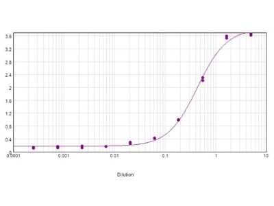 ELISA: Carbonic Anhydrase II/CA2 Antibody [Biotin] [NBP1-77742] - ELISA results of purified Rabbit Carbonic Anhydrase II/CA2/CA2 antibody [Biotin] Antibody tested against Carbonic Anhydrase II/CA2. Each well was coated in duplicate with 1.0 ug of Carbonic Anhydrase II/CA2. The starting dilution of antibody was 5ug/ml and the X-axis represents the Log10 of a 3-fold dilution. This titration is a 4-parameter curve fit where the IC50 is defined as the titer of the antibody. Assay performed using Blocking buffer, Streptavidin HRP conjugate, and TMB substrate.